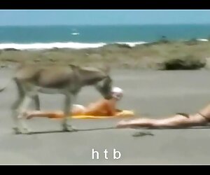 Web turbanli turk sex porno kamerası oyun 3